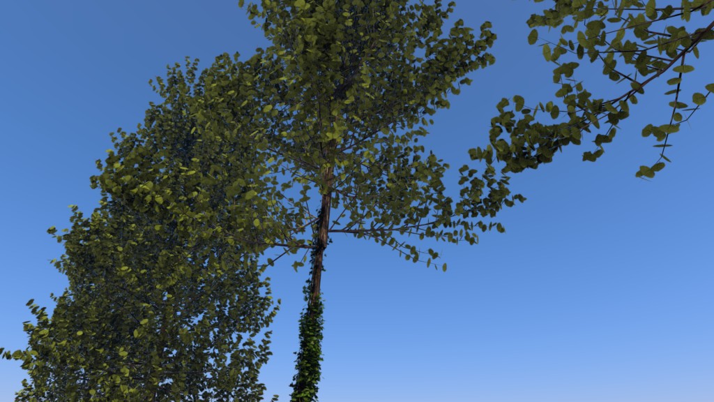 Trees - beech preview image 2
